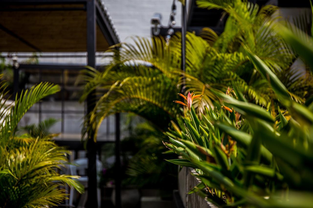 Alko Hotel Boutique Cali Luaran gambar